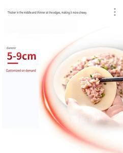 <span class=keywords><strong>Machine</strong></span> <span class=keywords><strong>à</strong></span> raviolis multifonctionnelle 2026 – Presse <span class=keywords><strong>à</strong></span> pâte automatique pour Wonton, Gyoza, Samosa, Roti, Chapati - Product Image 2
