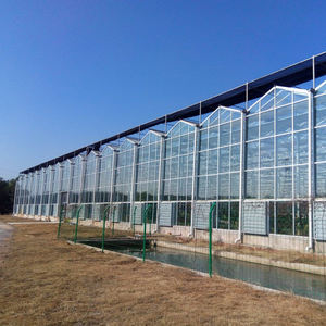 Invernadero Agrícola Inteligente de Gran Tamaño, Tipo Venlo, de Vidrio Templado, para Cultivo Hidropónico de Vegetales (Tomates, Lechuga) - Product Image 2