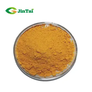 Food Coloring Curcumin Extraction Plant Turmeric Extract 95 Curcumin Powder Turmeric Root Extract