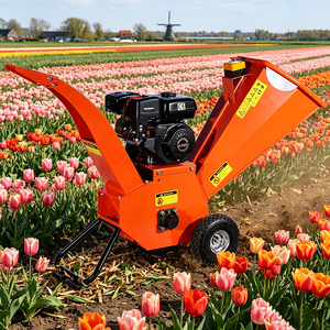 Broyeur <span class=keywords><strong>de</strong></span> branches robuste à moteur essence 13HP 3600 tr/min à démarrage électrique, conception horizontale, déchiqueteuse <span class=keywords><strong>de</strong></span> <span class=keywords><strong>bois</strong></span> - Product Image 2