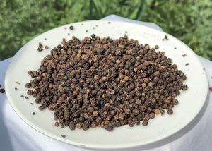 พริกไทยดำคุณภาพสูง ลวคัง ฮันเดรด สไปซ์ส รสชาติธรรมชาติแท้ ราคาดีที่สุด พริกไทยดำเม็ดเดียว สมุนไพรดิบ อบแห้งแบบ FD อายุการเก็บรักษา 2 ปี - Product Image 3