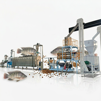 Machine automatique de fabrication d'aliments pour animaux de compagnie homologuée CE 500 kg, extrudeuse alimentaire à double vis, équipement de fabrication d'aliments pour chats et chiens