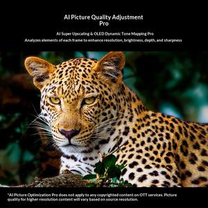 Téléviseur à écran plat pour jeux de compétition électrique 4K OLED42C5PCA, série 48/55/65/77/83C5, garantie de 12 mois - Product Image 4