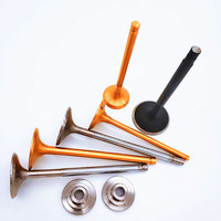 Válvula de Motor de Admisión y Escape para ATV, para TGB Target 550 EFI IRS Asiawing LD450 450cc Dinli 700 Centhor Keeway TX 50 125 150 200