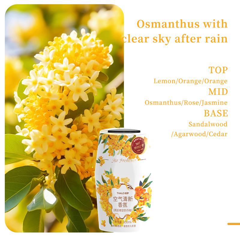 Osmanthus withclear sky after rain