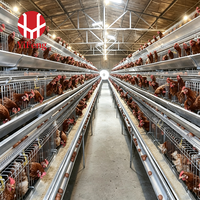 Cage à poules pondeuses de type A à grande capacité, 3 niveaux, galvanisée, avec collecte automatique des œufs, équipement avicole
