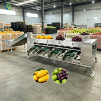 Systeem voor het sorteren van fruit en groenten op kleur voor grote voedselverwerkingsbedrijven