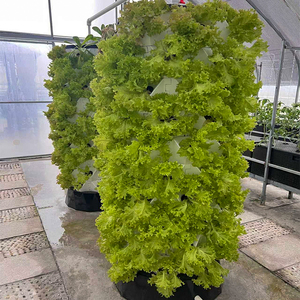 Sistemas de Cultivo Verticales para Plantas de Interior, Sistema Completo de Cultivo Hidropónico y Aeropónico en Columna para Jardín Doméstico - Product Image 4