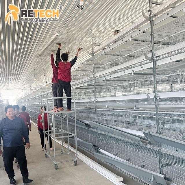 High Capacity Poultry House Equipment for