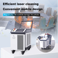 Nettoyeur Laser à Impulsions JPT Portable BingYan 100w 200w 300w 500w pour le Dérochage, l'Élimination de la Rouille, de la Peinture, de l'Oxyde sur Métal, Moule, Bois