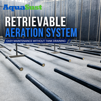 Système d'aération relevable, tube d'aération, garantie de 2 ans, haute efficacité pour les stations d'épuration municipales (STP)