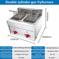 Offre Spéciale Friteuse Professionnelle à Gaz Double Cuve en Acier Inoxydable pour Frites et Poulet – Équipement de Restauration