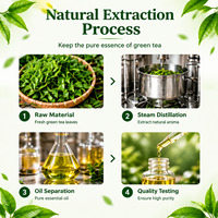 Huiles essentielles concentrées parfumées au thé vert, arôme frais pour la fabrication de bougies - Ventes flash