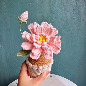 Macetas de Flores Tejidas a Crochet al por Mayor, Hechas a Mano, para Suculentas, Regalos para Boutiques Minoristas - Product Image 3