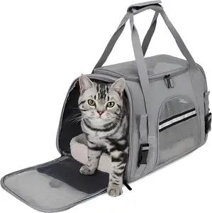 定制标志可折叠吊带肩包便携式宠物旅行手提袋猫狗手提袋