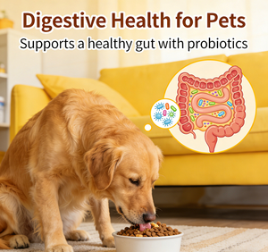 OEM/ODM Glucosamine Chondroïtine pour chiens – Friandises à mâcher souples pour <span class=keywords><strong>la</strong></span> santé des articulations, soutien musculaire, beauté et vitalité – Riches en protéines, sans céréales - Product Image 5