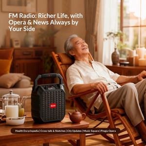 Altavoz portátil Newman V96W para personas mayores, con función de llamada de emergencia SOS, <span class=keywords><strong>karaoke</strong></span>, radio de gran volumen para bailes, de plástico - Product Image 4