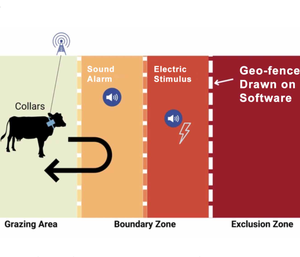 Rastreador GPS para Ganado 4G con Respaldo Satelital, BDS, LBS, Sin Cables, Delimitación de Pastizales, Pulso Correctivo, <span class=keywords><strong>Datos</strong></span> de Comportamiento del Ganado, OEM - Product Image 2