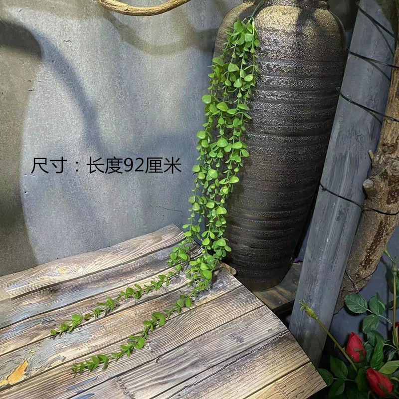 Eucalyptus