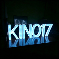 Enseigne lumineuse LED personnalisée en acrylique et acier inoxydable avec lettres 3D pour intérieur/extérieur, bureau, commerce, facile à installer