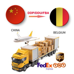 Servizi di Spedizione Porta a Porta DDP/DDU via Mare, Aria ed Espresso dalla Cina agli Stati Uniti, Canada e Messico - Product Image 1