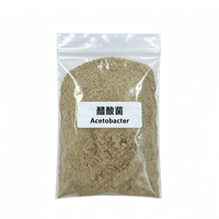 Inoculant en poudre pour fermentation acétique Acetobacter 10 milliards UFC/g, durée de conservation de 12 mois, sacs kraft de 25 kg pour l'éthanol et l'acide acétique