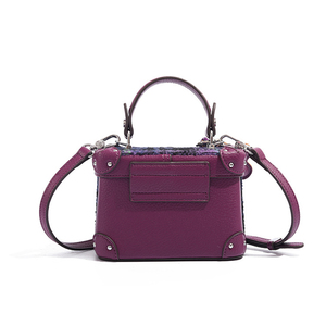 2025 squisita piccola borsa quadrata viola peluche, alta qualità e bella borsa a prezzo, recentemente molto popolare borsa a tracolla 1383 - Product Image 5