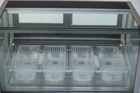 Vitrine Réfrigérée Commerciale de Comptoir avec Ventilation par Ventilateur, Capacités 15L, 24L, 31L, pour Crèmes Glacées, avec Porte Coulissante en Verre