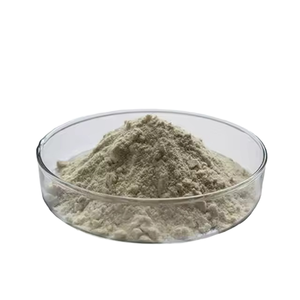 Offre Spéciale poudre d'extrait de fruit de Cnidium naturel de qualité supérieure 10%-98% Osthole avec le meilleur prix - Product Image 2
