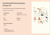 Mycopeptides 70% : Additifs Alimentaires de Qualité Supérieure pour l'Élevage de Poissons en Étang, Certifiés ISO-9001