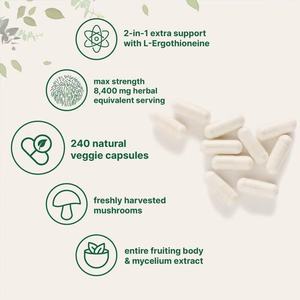 Pabrik GMP Suplemen Herbal Lions Mane L-Ergothioneine 240 Kapsul Vegan 8.400 mg Setara Ultra Strength Dewasa - Product Image 4
