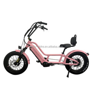 Personnalisé 20 pouces 2 <span class=keywords><strong>roues</strong></span> 48v batterie au lithium 750w <span class=keywords><strong>vélo</strong></span> <span class=keywords><strong>couché</strong></span> - Product Image 2