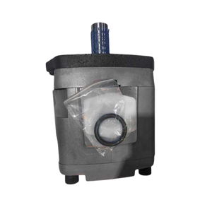 Pompe à engrenages hydraulique haute pression <span class=keywords><strong>IPV</strong></span> IPVP IPVAP IPN IPM IPNL série IPVP 5-50 101 IPVP 5-64 101 pompe à huile à engrenages - Product Image 6