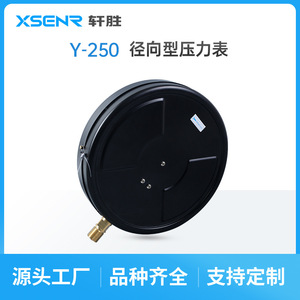 Manomètre Suzhou Xuansheng Y250 1,6 Mpa, 250 mm, acier inoxydable, raccord fileté, pour utilisation avec chaudière à vapeur - Product Image 3