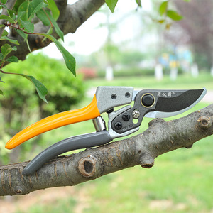 Bypass Pruning Shears Stainless Steel Blade 20-30 Mm For Fruit <b>Tree</b> Gardening Trim Thick Branches - Product Image 2
