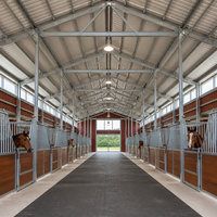 Structure en acier professionnelle stable pour l'équitation et l'élevage, bâtiment métallique préfabriqué à grande portée, abri durable pour animaux