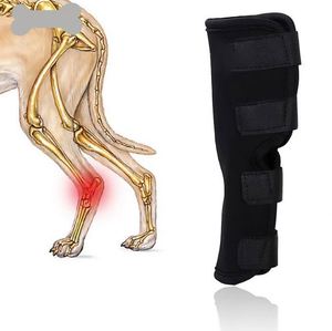 Muestra gratuita: Protector de rodilla para perros, previene que lamen, para lesiones en las patas traseras, soporte de rodilla para perros, almohadilla de rodilla para perros - Product Image 1