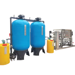 2m3 Filter Water Desalination Machine 2000lph 3000lph Brackish Water Desalination Plant Borehole Water Desalination System