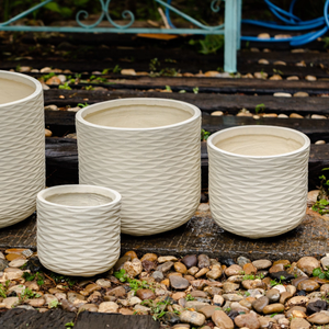 Substrato Respirável de Magnésio Previne o Apodrecimento Radicular Ideal para Suculentas e Plantas Verdes - Product Image 2