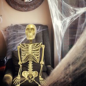 زينة للهالوين وهي عبارة عن هيكل عظمي للهالوين واقعي قابل للحركة من البلاستيك يمتد طوله 36 بوصة يتميز بالجمال المقاوم للصدمات للاستخدام داخل المنزل أو في الهواء الطلق - Product Image 6