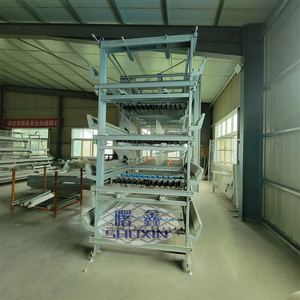 Large Capacity 10000 Chickens h Type Automatic Layer Chicken <strong>Cage</strong> Hens Poultry <strong>Design</strong> Battery <strong>Cages</strong> for Poultry Manure Removal - Product Image 5