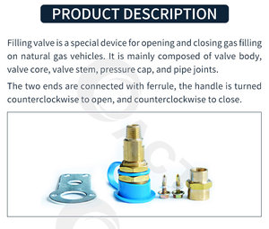 Valve de <span class=keywords><strong>remplissage</strong></span> <span class=keywords><strong>GPL</strong></span> certifiée ISO 9001, durable, bleue, pour l'arrivée de carburant <span class=keywords><strong>GPL</strong></span>, connecteur de <span class=keywords><strong>remplissage</strong></span> automatique pour la conversion au gaz - Product Image 5