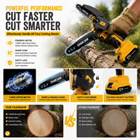 Ensemble d'outils électriques essentiels 4 pièces avec étui souple pour l'entretien du jardin, tondeuse à gazon, tronçonneuse, souffleur de feuilles à batterie