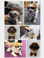 Lunettes de soleil pour chiens de petite race - Lunettes de protection UV réglables avec verres anti-buée pour le cyclisme et les activités de plein air