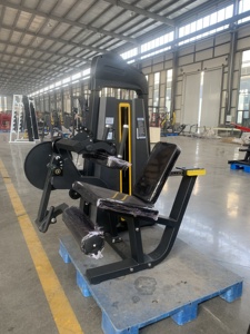 Máquina de extensión de piernas con pesas, equipo de gimnasio comercial, equipo de entrenamiento de fuerza, equipo de entrenamiento de cuádriceps para gimnasio - Product Image 3
