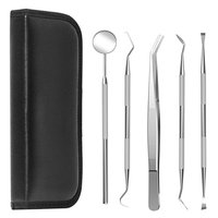 Outils de sélection dentaire professionnels de haute qualité 6 pièces ensemble de soins bucco-dentaires 6 pièces ensemble Instruments Kit d'hygiène dentaire