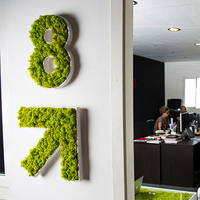 Nouveau Design Moss Letter Sign,Custom Moss Sign,Moss Logo Wall Sign,Business Logo Signage