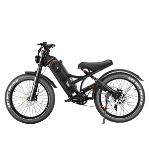 Vélo électrique Eahora Romeo Pro personnalisable avec moteur puissant 2*120n-M 48v 60ah, batterie grande capacité, cadre en acier, modèle Mountain Romeo Romeo R - Product Image 5