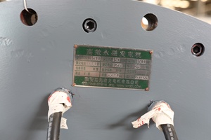 เครื่องกำเนิดไฟฟ้าพลังงานลม/น้ำ Bibo 1500kW 150rpm ขายตรงจากโรงงาน ความเร็วรอบต่ำ แม่เหล็ก IP54 ประสิทธิภาพ 95% 690V 25Hz - Product Image 6