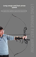 Meilleure Vente : Kit de Tir à l'Arc pour Débutants avec Arc Recurve en Métal, Ensemble d'Arbalètes et Flèches Démontables, Équipement de Tir à 30-40 lb